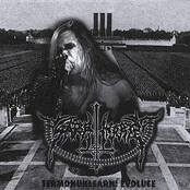 Termonuklearni Evoluce