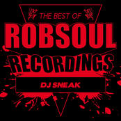 DJ Sneak: Best of DJ Sneak