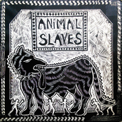 Animal Slaves