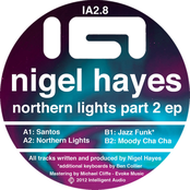 Northern Lights by Nigel Hayes