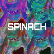 Spinach
