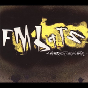 Everybody Out... Shark in the Water