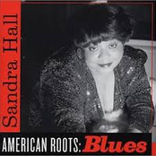 American Roots: Blues