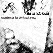 Experiments for the Kaput Gusto