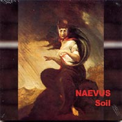 Harm by Naevus