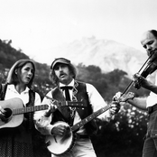 iron mountain string band