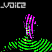 _voice