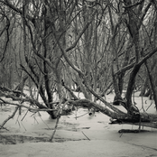 Cold and Distant, Not Loving