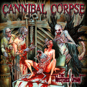 Psychotic Precision by Cannibal Corpse