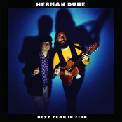 When The Sun Rose Up This Morning by Herman Düne