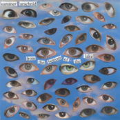 From the Bottom of the Lake - EP