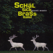 Tsivaeri by Schäl Sick Brass Band