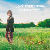 Velvet Starlings: Love Everything, Love Everyone...