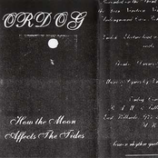 How the Moon affects the Tides