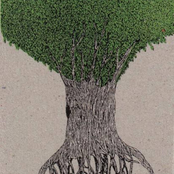 At the Foot of Zodiac Mountain