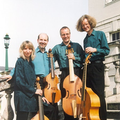 the rose consort of viols