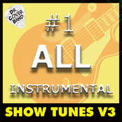 #1 All Instrumental: Show Tunes, Vol. 3