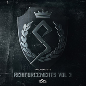 Reinforcements Vol 3