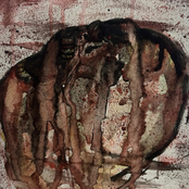 My mirror reflects an empty canvas