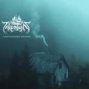 Companionable Solitude