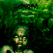 Underwater Corpse Putrefaction