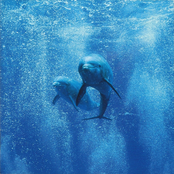 The Sun Always Shines...