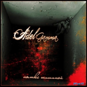 Пытка тишиной (single)