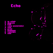 Echo