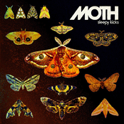 Moth