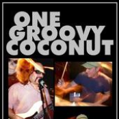 One Groovy Coconut