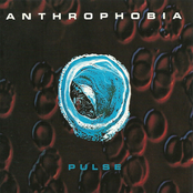 Anthrophobia: Pulse