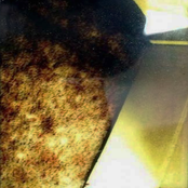 Just a momentary diversion on the road to the grave ...