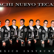 mariachi nuevo tecalitlan