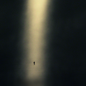 As They Fly Away