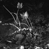 Where the Earth Meets the Sky