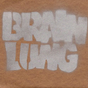 Brain Lung