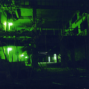 Decorations In A Ruined City