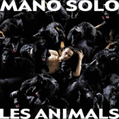 Animals by Mano Solo