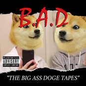 THE BIG ASS DOGE TAPES
