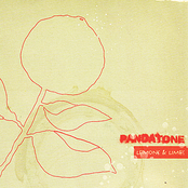 Cellophane by Pandatone