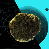 Raxacoricovarlonpatorius