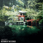 Return Of the $ensei