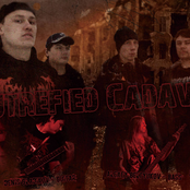 putrefied cadaver