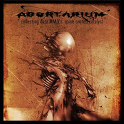 Collecting Data MM.V.I Spine Coated Catalyst