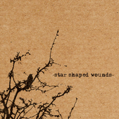 Star Shaped Wounds...