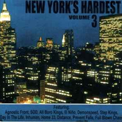 New York's Hardest Volume 3