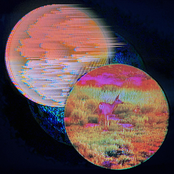 Branching Out, Reaching Forward