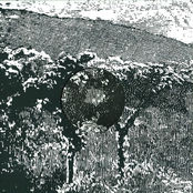 The World Outside - EP