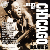 best of the blues