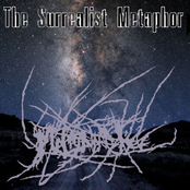 The Surrealist Metaphor